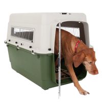 Transportines para perros