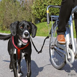 Trixie Biker-Set de Luxe