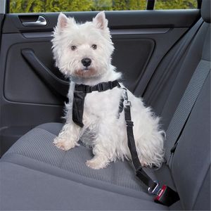 Best dog harness for car