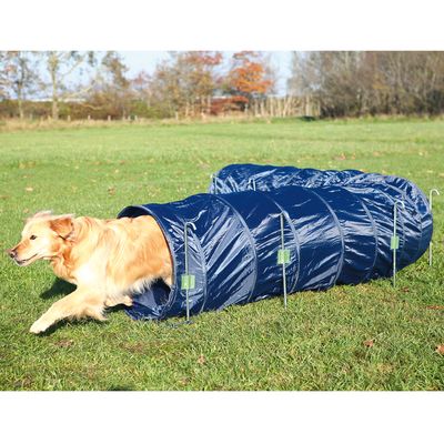 agility tunnel tunnel agility pour chien zooplus agility tunnel tunnel agility pour chien zooplus