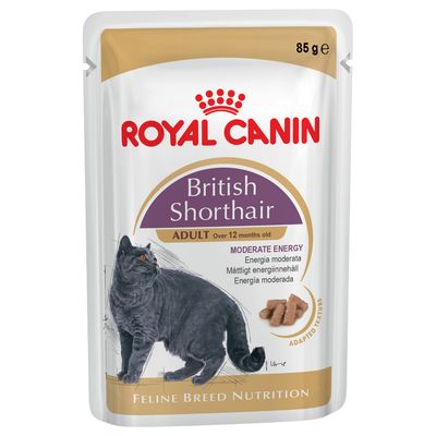 Month Kitten Royal Canin Cat Food Month Kitten Royal Canin Cat Food
