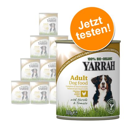 hund blähungen und durchfall