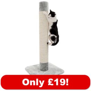 XXL Jumbo Scratching Post