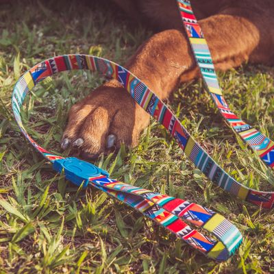 Zee Dog Lead Uk Zee Dog Lead Uk