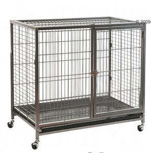 Zimmerkennel Tabby I