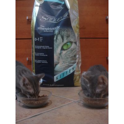 Pepe e Rolly