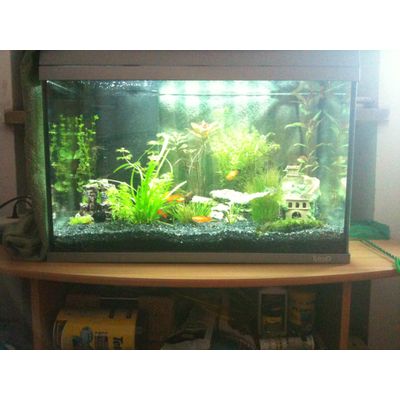 Example for my Tetra AquaArt Aquarium