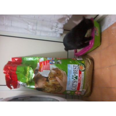 Lettiera Cat's Best Eco Plus 40l : davvero grande
