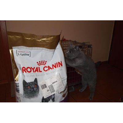 Ako sa dostanem do toho vreca ?