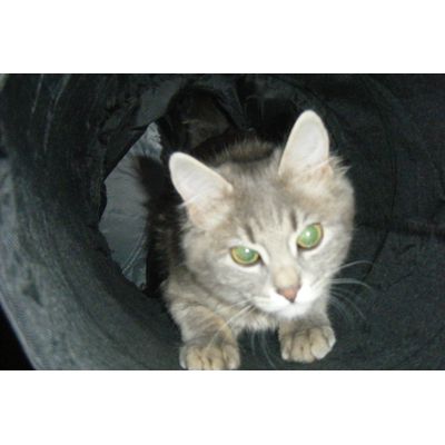La Rotolina ormai vive nel tunnel!!!!! :)