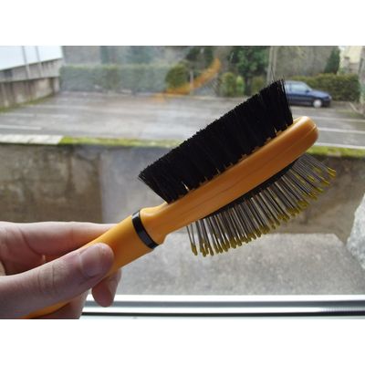 La brosse de mes chons