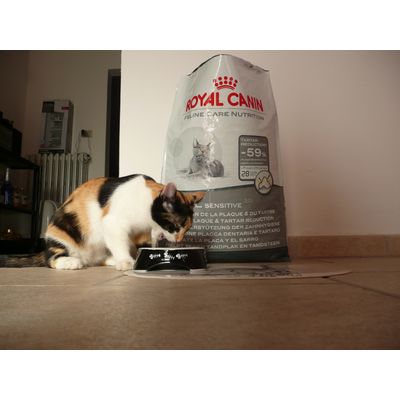 Minnie con il Suo Cibo preferito Royal Canin Oral Sensitive 30