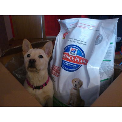 Le encanta su comida