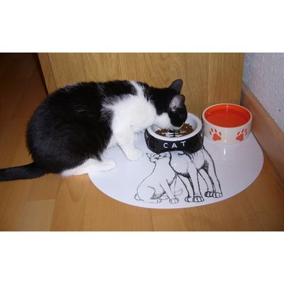 Liev a la hora de la comida
