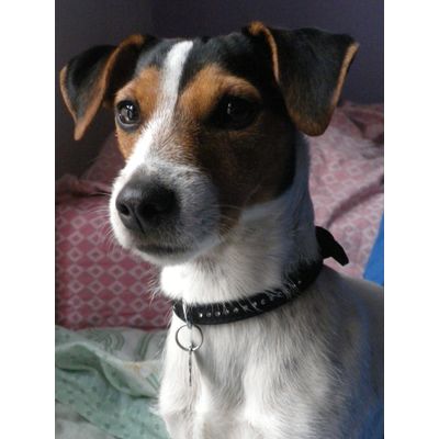 Lily