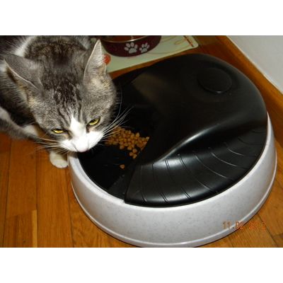 Chicca prova il fantastico distributore!!