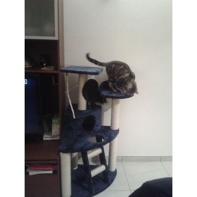 Amedeo e Nello al lunapark