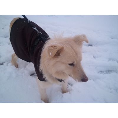 Giusto giusto per la nevicata!!!