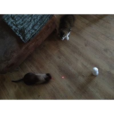 Leni und Amy beim Spielen