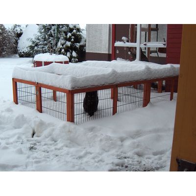 Auch gen Katzen gefällts-Winter