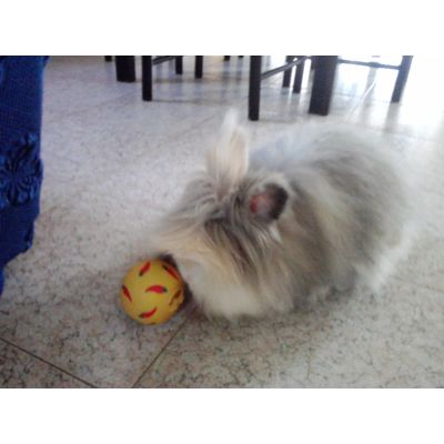 MILLY SCOPRE SNACKY PALLA