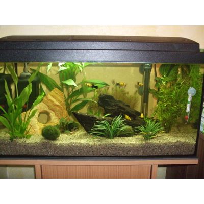 Aquarium