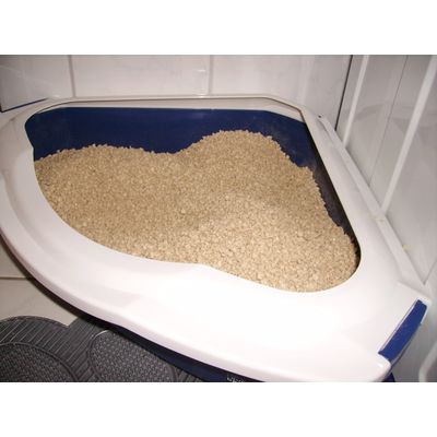 Nachdem Katze ein Pipihäufchen gemacht hat