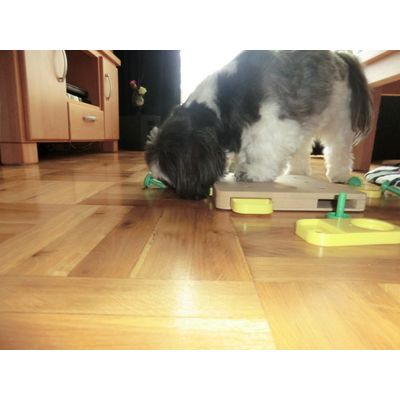 spelen met doggy train