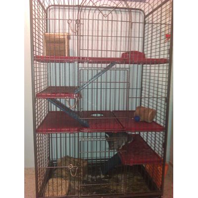 Un palacio pa´mi Gitano y mi Gitana