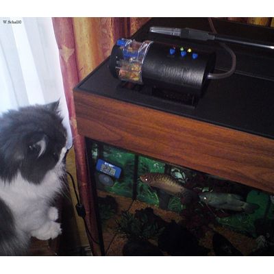 Juwel Futterautomat