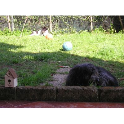 Gary e Piccolo in giardino