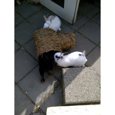 samen in de tunnel