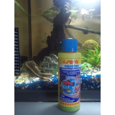 aquatan