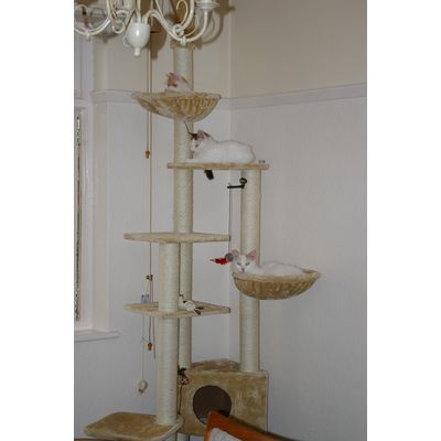 Atlas Cat Tree