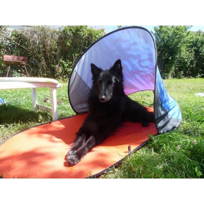 Enez dans son bain de soleil ;)