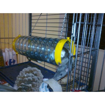 Tunel do zabawy Giant Tube