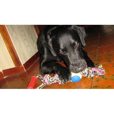 corda nodi e manico