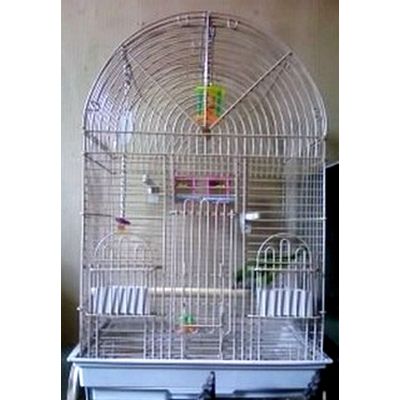 la nouvelle cage de Quaker, la perruche souris