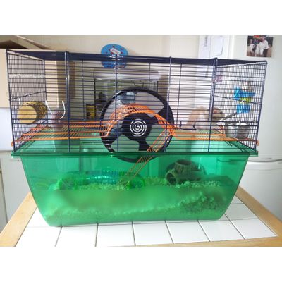 cage with wheel