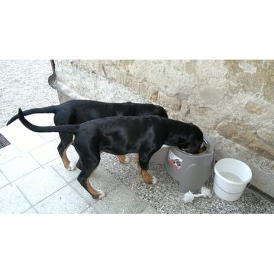 Arnošt a Artur