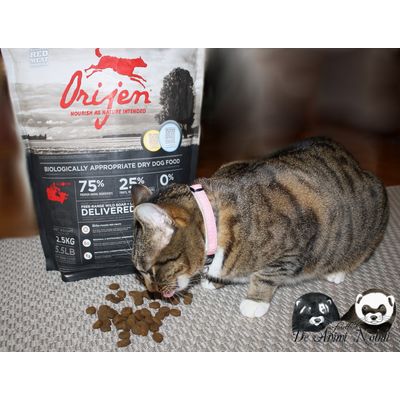 Orijen Regional Red: Auch für Katzen und Frettchen zur abwechslung