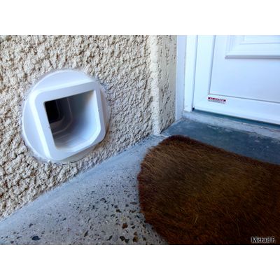 SureFlap dans un mur en parpaing