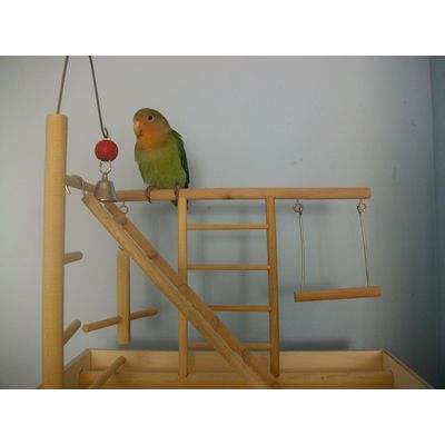 toño probando su nuevo parque
