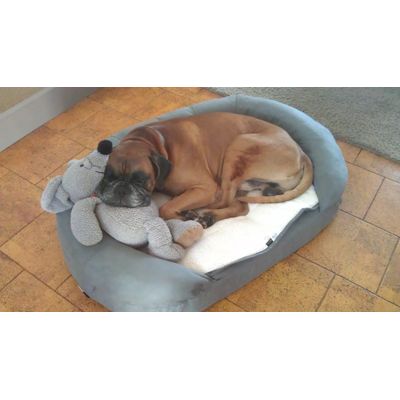 Dog Bed Karlie Oval OrthoBed