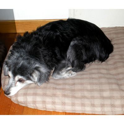Moxi sul farro