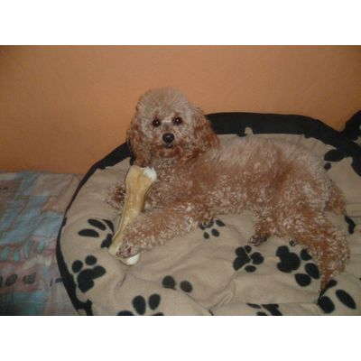 22 cm para mi