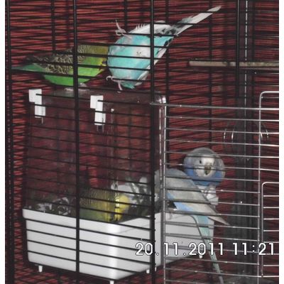 Vogelbad
