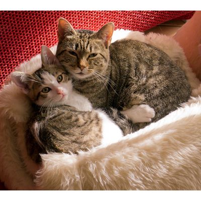 Un moment de détente pour la maman et son petit.