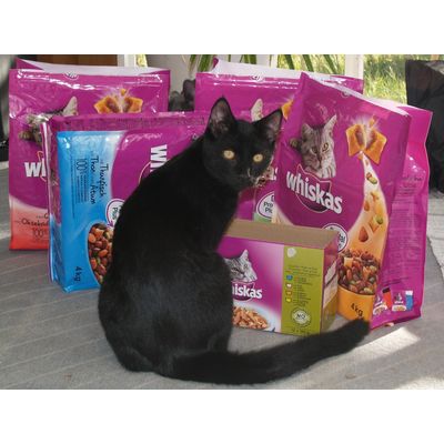 We like Whiskas