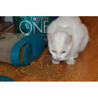 Purina One is voor Onze Nicole niet te weerstaan.
